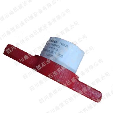 Roper�X݆�ú����wP10-178 ����(gu��)�M(j��n)��